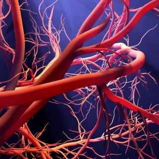 Rinforzo dei Vasi Sanguigni